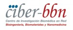 logo_Ciber-bbn_tex